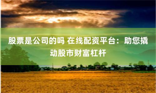 股票是公司的吗 在线配资平台：助您撬动股市财富杠杆